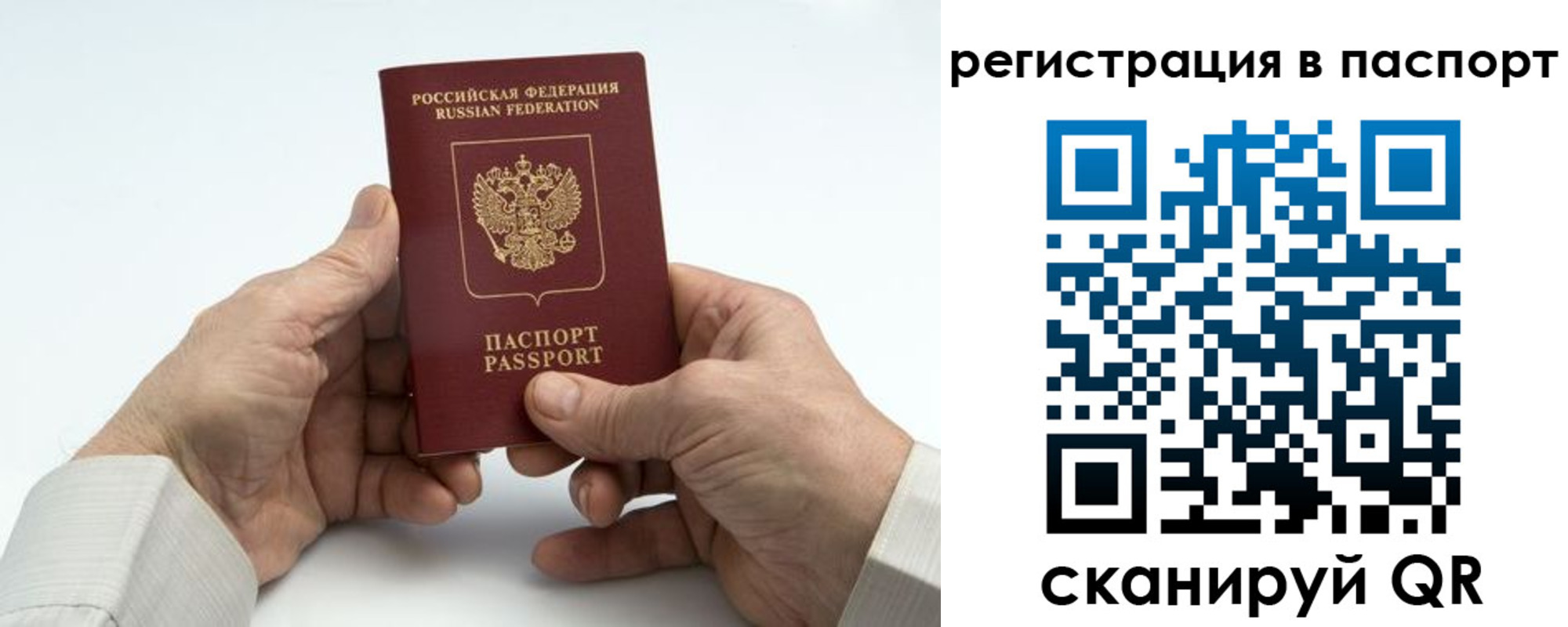 где прописаться в Лосино-Петровском